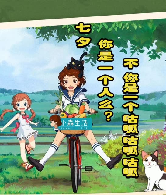 终于，我期待的甲虫大赛就要开始了，小时候的感觉又回来了