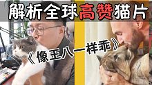 解析全球高赞猫片：正确亲吻猫咪动作示范！猫像王八一样乖