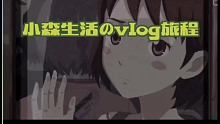 #小森生活 一起寻找夏日回音