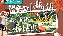 #小森生活 童年回忆之抓昆虫，甲虫对决的秘密经验！