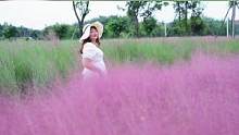 #创作灵感 以草为名，比花更美。这里是彭州官渠郊野公园，要不要在这个秋天来一场粉色的约会？#粉黛乱子