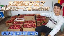 大院的果子熟了，感谢大家一直以来的帮助和支持，小迟回馈给大家