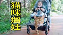 千万不要低估了猫咪的带娃能力！