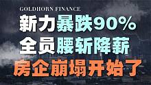 靠高利贷续命？千亿地产巨头新力暴跌90%，房企崩塌开始了