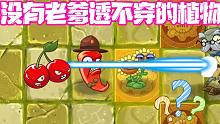 植物大战僵尸：没有老爹透不穿的植物？大嘴：贝贝不行！小蛙行