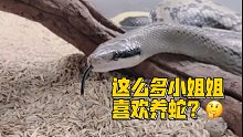 为什么这么多小姐姐喜欢养蛇？