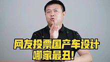 网友投票国产车设计哪家最丑！
