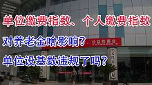 单位设社保缴费基数违规？单位指数和个人指数，对养老金啥影响？