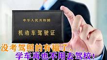 没考驾照的有福了，学车再也不用去驾校！驾校哭了：以后咋赚钱？