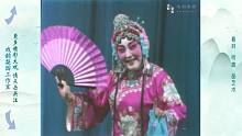 马金凤大师1979年的珍贵演出录像，实况版豫剧《花打朝》你看过吗