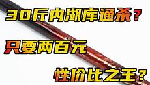 30斤内湖库通杀只要两百元？性价比之王来了吗？红狼尖峰鱼竿测评