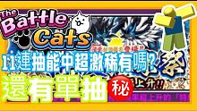 【薯條】貓咪大戰爭！11連抽到底能不能中超激稀有呢？（⭕️ 後面也會單抽