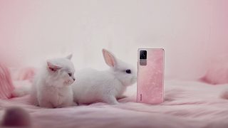 Xiaomi Civi 手机颜色：被一猫一兔圈了粉～