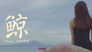 鲸 くじら - 小松原俊 | Cover by 磊磊 MrWHO F11和F22录制