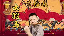 为救李郎离家园，预备唱。。。《女驸马》X竹笛