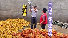 河南连续下雨玉米被泡在家里，老两口为这事发生争吵，到底是谁对