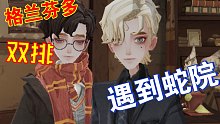 不用黑魔法和cp双排被蛇院断了20连胜的那些事哈利波特魔法觉醒