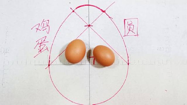 "鸡蛋圆"两头窄中间宽,到底是怎么画出来的?装修电工一学就会