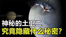 土卫二隐藏什么秘密？神秘的“虎纹”结构，是否外星文明留下的？