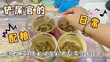 铲屎官的打饭配粮视频你喜欢吗？跟我一起给你家鼠崽配粮吧！