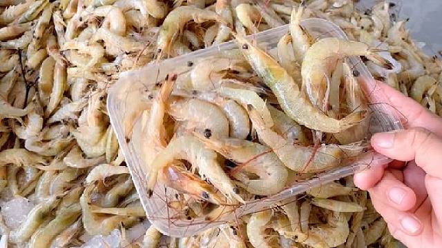 壳薄肉大的羊毛虾,它到底1斤能扒多少虾仁