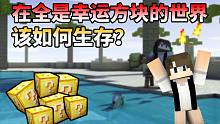 在全是幸运方块的世界该如何生存？幸运方块大陆 第二期