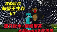 黑刀秋水+槛槛果实vs头陀狒狒boss！勇哥能否挑战成功？