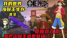 我的世界新海贼王#3：索巴山贼王造型登场？！觉醒双刀流！