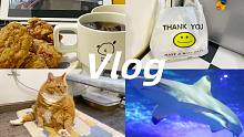 Vlog|和最可爱的小猫咪一起生活/自己做炸鸡/去海洋馆/下班日常/云吸猫