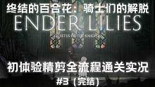 【初夏实况】银河恶魔城新游《终结的百合花：骑士们的解脱》初体验精剪全流程通关实况#3（完结）