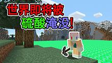 整个世界即将被硫酸淹没?!没有钻石 怎么生存？我的世界