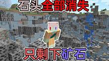 所有石头都消失了!只剩下了矿物和刷怪笼 如何生存? 我的世界