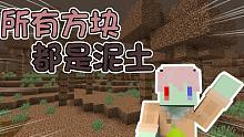 所有方块都是泥土?连矿洞都是泥土做的...我该如何生存下去 我的世界