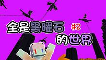 满天末影龙？全是黑曜石的世界 我该如何生存#2我的世界