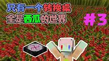 开局只有转化桌 全部是西瓜的世界 我要怎么生存 我的世界#3