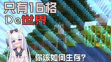 整个世界只有16格!你应该如何发展ovo!我的世界 仿佛自己是井底之蛙#1
