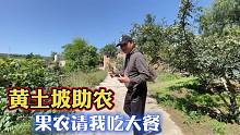 黄土高坡助农，果农请客入乡随俗，啃馍也开心