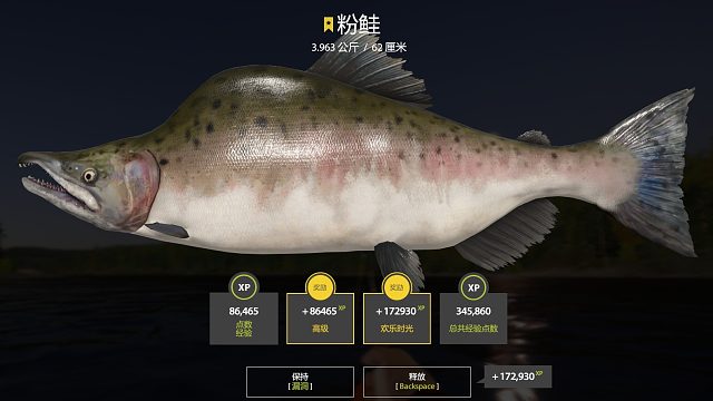 下通古斯卡河渔夫之花猪-140,88 卡35