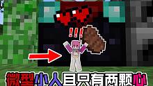 比一个像素还小!且只有两颗心 我该如何生存下去?我的世界#1