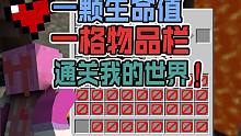 历经四天!一生命一物品栏通关我的世界 超级挑战