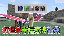 击杀任何生物都会掉幸运方块礼袋!只靠生物通关我的世界