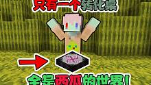 只有一个转化桌和全是绿油油的西瓜 我该怎么生存 我的世界