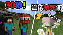 每过30秒就会尝试杀掉你!各种奇葩死法你都见过吗？(我的世界数据包)