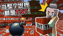 蓝屏几次才能玩全是TNT的世界？我该如何生存?我的世界
