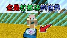 只有一个挖不完的转化桌 全是甘草块的世界 我该如何生存？ 我的世界