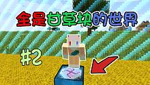 只有一个挖不完的转化桌 全是甘草块的世界 我该如何生存？#2 我的世界