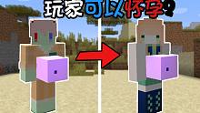 如果Mc不管男女都可以怀孕 会发生什么奇怪的事情？我的世界