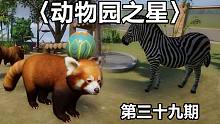 【千面小生】小熊猫和平原斑马来啦！《动物园之星》第三十九期