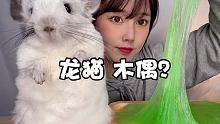 #咀嚼 #龙猫