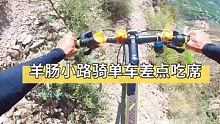 这多年没人走的羊肠小道骑单车是什么感觉。 #骑行旅行 #极限运动 #山地自行车